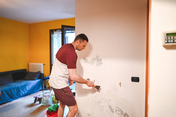 Best Water Damage Restoration  in Manitou Springs, CO